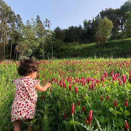Quinta Da Casa Azul Villa โอบิดอส ภายนอก รูปภาพ